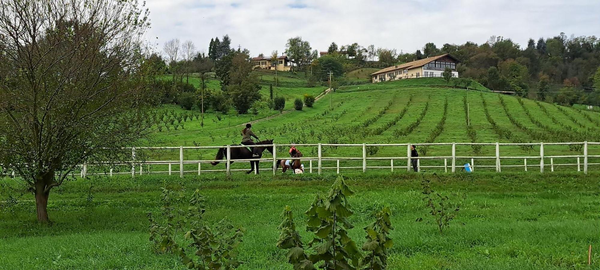 Cascina Fazioli Villa Alfiano Natta Ngoại thất bức ảnh