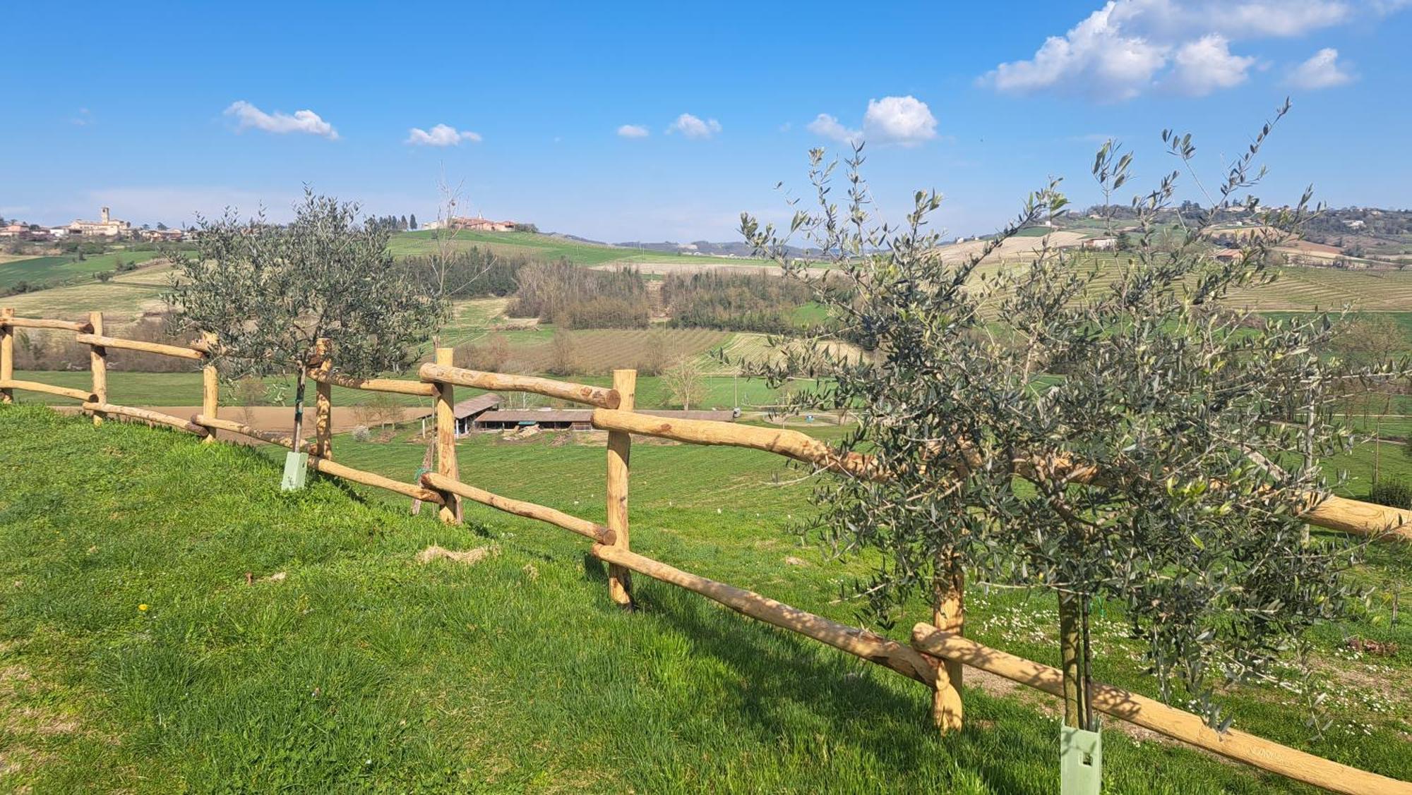 Cascina Fazioli Villa Alfiano Natta Ngoại thất bức ảnh