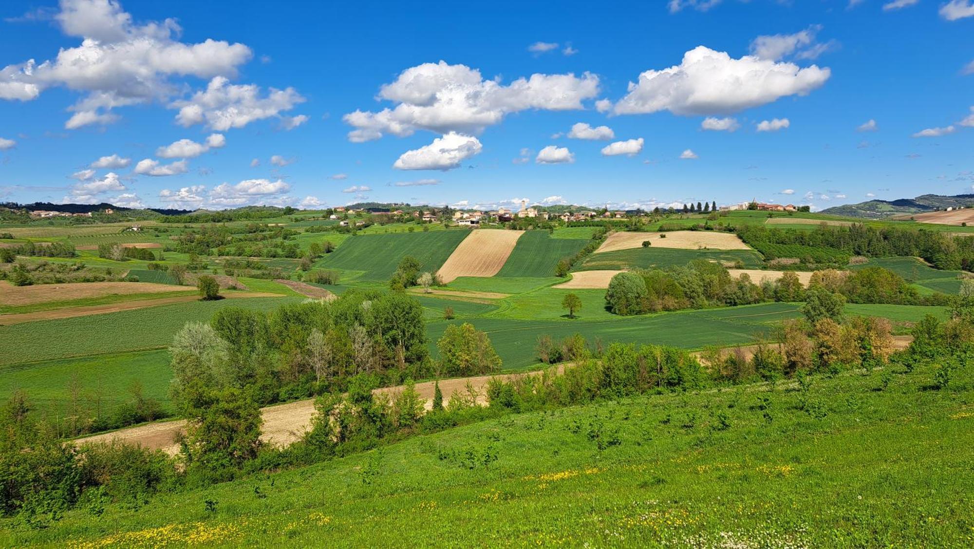 Cascina Fazioli Villa Alfiano Natta Ngoại thất bức ảnh